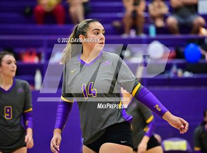 Thumbnail 1 in George Washington vs Littleton  photogallery.
