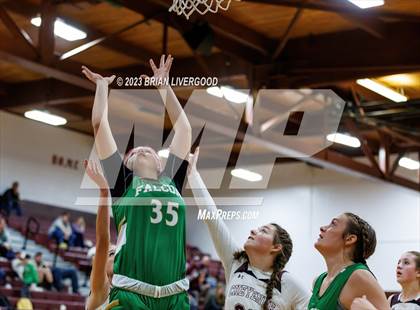 Thumbnail 3 in Falcon @ Cheyenne Mountain photogallery.