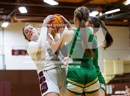 Thumbnail 2 in Falcon @ Cheyenne Mountain photogallery.