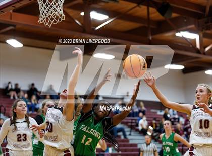 Thumbnail 3 in Falcon @ Cheyenne Mountain photogallery.
