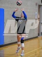 Photo from the gallery "Stadium @ Lakes"