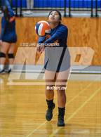 Photo from the gallery "Stadium @ Lakes"