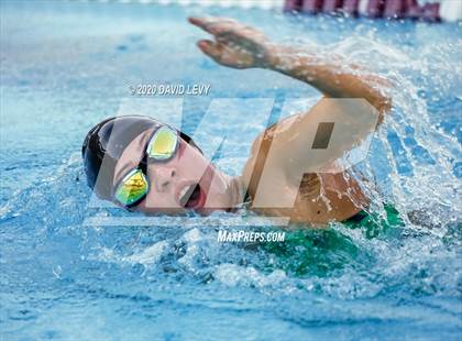 Thumbnail 3 in Chandler @ Basha photogallery.
