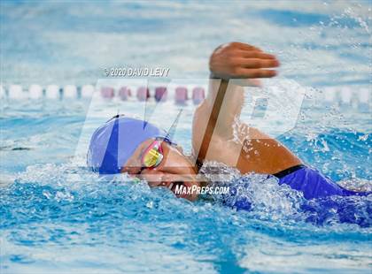 Thumbnail 2 in Chandler @ Basha photogallery.