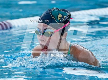Thumbnail 2 in Chandler @ Basha photogallery.