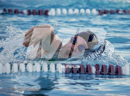 Thumbnail 2 in Chandler @ Basha photogallery.