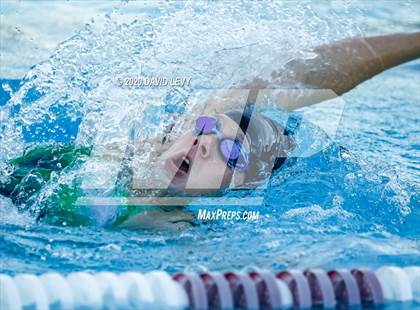Thumbnail 1 in Chandler @ Basha photogallery.