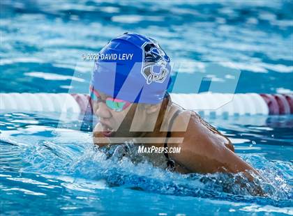 Thumbnail 3 in Chandler @ Basha photogallery.