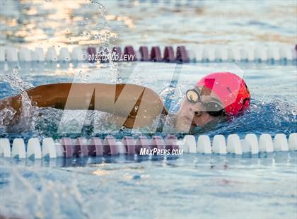 Thumbnail 2 in Chandler @ Basha photogallery.