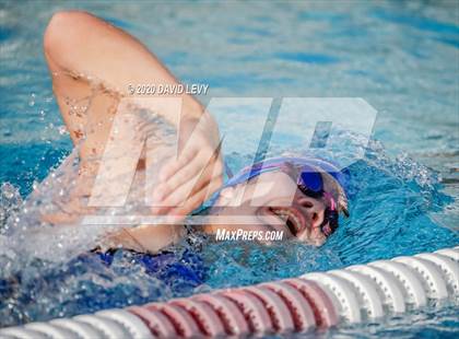 Thumbnail 3 in Chandler @ Basha photogallery.