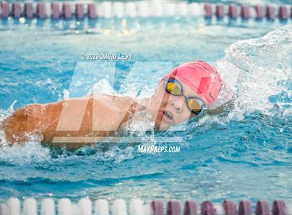 Thumbnail 3 in Chandler @ Basha photogallery.