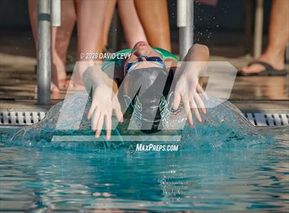 Thumbnail 2 in Chandler @ Basha photogallery.