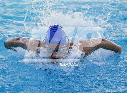 Thumbnail 3 in Chandler @ Basha photogallery.