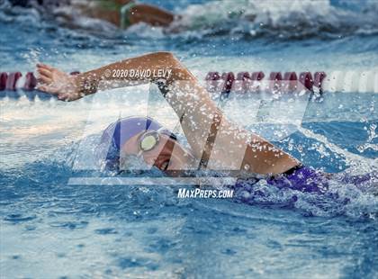 Thumbnail 2 in Chandler @ Basha photogallery.