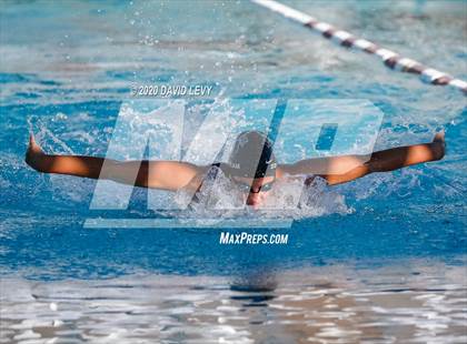 Thumbnail 2 in Chandler @ Basha photogallery.