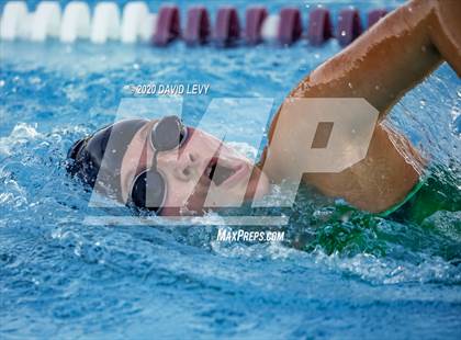 Thumbnail 1 in Chandler @ Basha photogallery.
