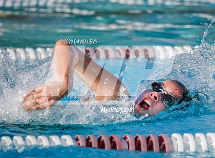 Thumbnail 2 in Chandler @ Basha photogallery.