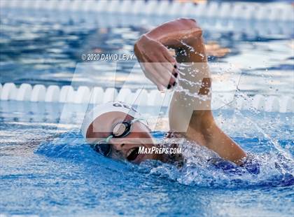 Thumbnail 2 in Chandler @ Basha photogallery.