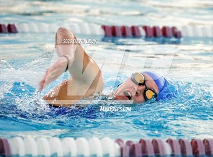 Thumbnail 1 in Chandler @ Basha photogallery.