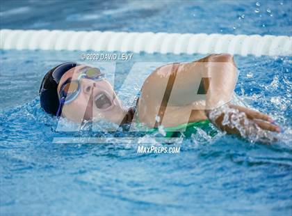 Thumbnail 3 in Chandler @ Basha photogallery.