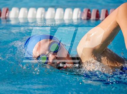Thumbnail 3 in Chandler @ Basha photogallery.