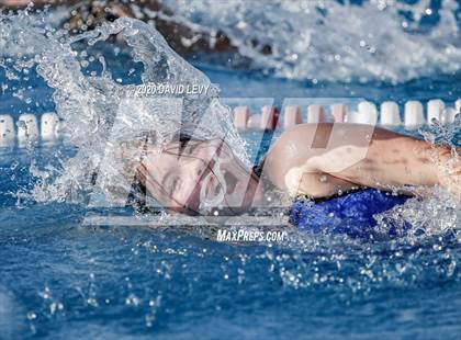 Thumbnail 2 in Chandler @ Basha photogallery.