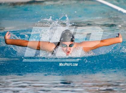 Thumbnail 1 in Chandler @ Basha photogallery.