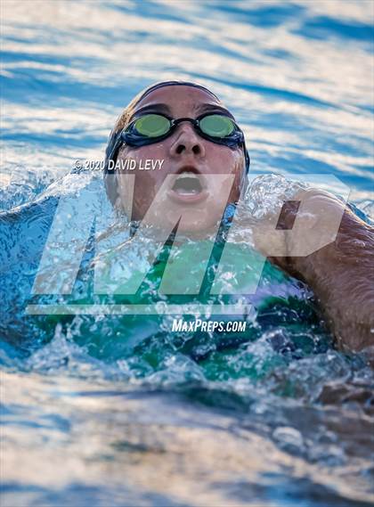 Thumbnail 1 in Chandler @ Basha photogallery.