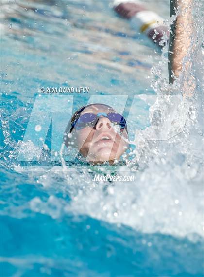Thumbnail 1 in Chandler @ Basha photogallery.