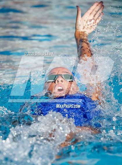Thumbnail 3 in Chandler @ Basha photogallery.