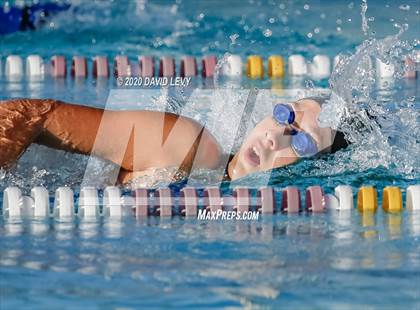 Thumbnail 3 in Chandler @ Basha photogallery.