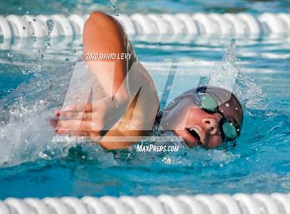 Thumbnail 3 in Chandler @ Basha photogallery.