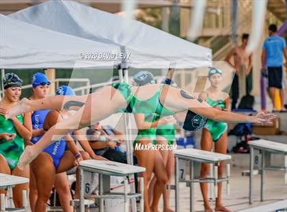 Thumbnail 3 in Chandler @ Basha photogallery.