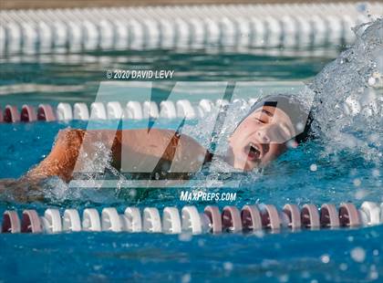 Thumbnail 3 in Chandler @ Basha photogallery.