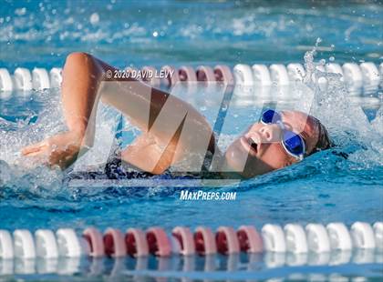 Thumbnail 1 in Chandler @ Basha photogallery.