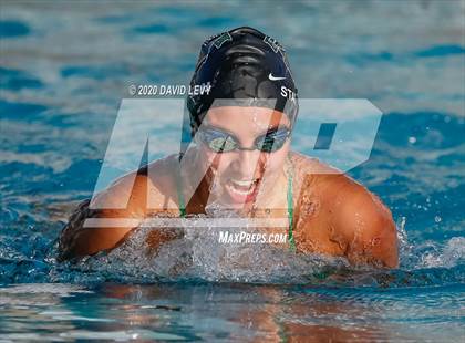 Thumbnail 3 in Chandler @ Basha photogallery.