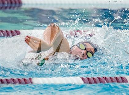 Thumbnail 2 in Chandler @ Basha photogallery.