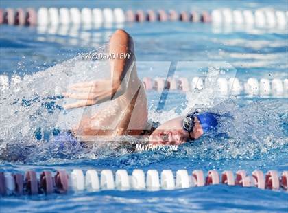 Thumbnail 1 in Chandler @ Basha photogallery.
