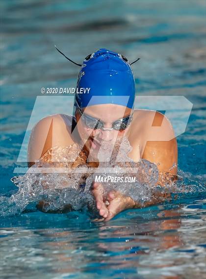 Thumbnail 2 in Chandler @ Basha photogallery.