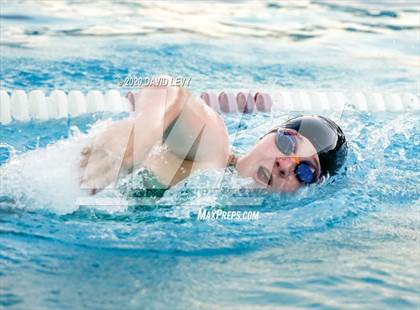 Thumbnail 2 in Chandler @ Basha photogallery.