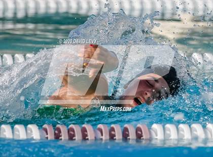 Thumbnail 1 in Chandler @ Basha photogallery.