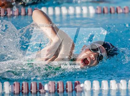 Thumbnail 1 in Chandler @ Basha photogallery.