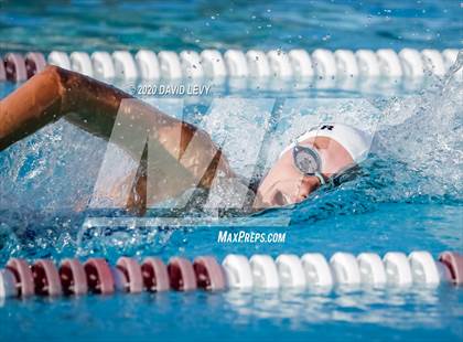 Thumbnail 1 in Chandler @ Basha photogallery.