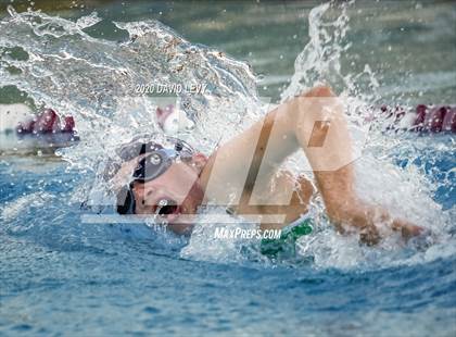 Thumbnail 3 in Chandler @ Basha photogallery.