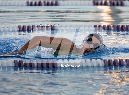 Thumbnail 3 in Chandler @ Basha photogallery.