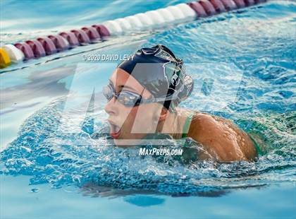 Thumbnail 3 in Chandler @ Basha photogallery.