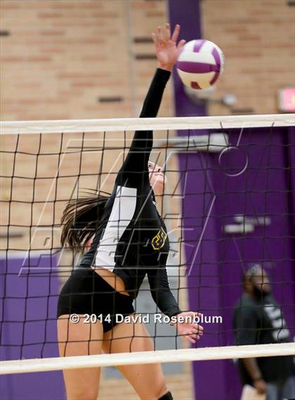 Thumbnail 3 in Fernandina Beach @ Fletcher photogallery.