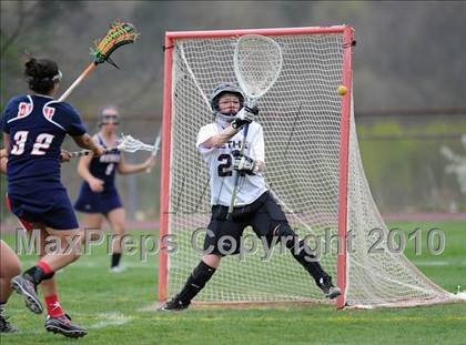Thumbnail 3 in New Fairfield @ Bethel photogallery.