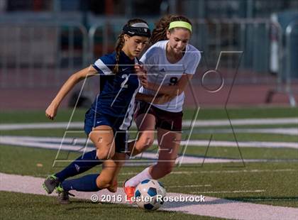 Thumbnail 2 in O'Connor vs. Marshall photogallery.