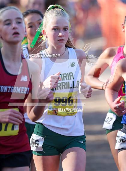 Thumbnail 2 in CIF State Cross Country Championships (Girls D3 Race) photogallery.